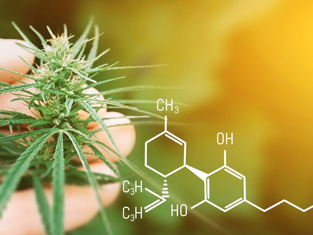 CBD formula